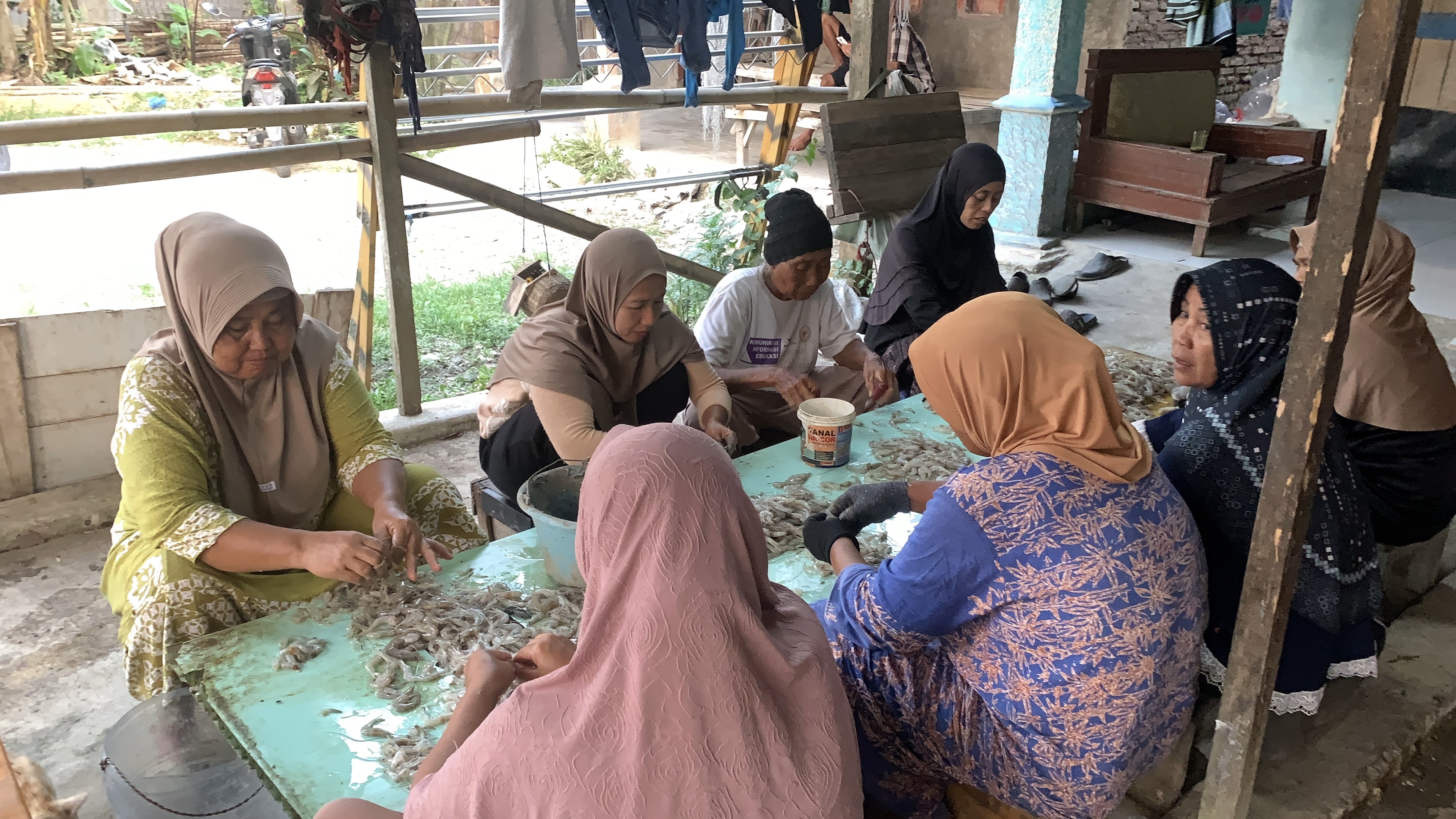 Aktivitas Mengupas Udang Tambak