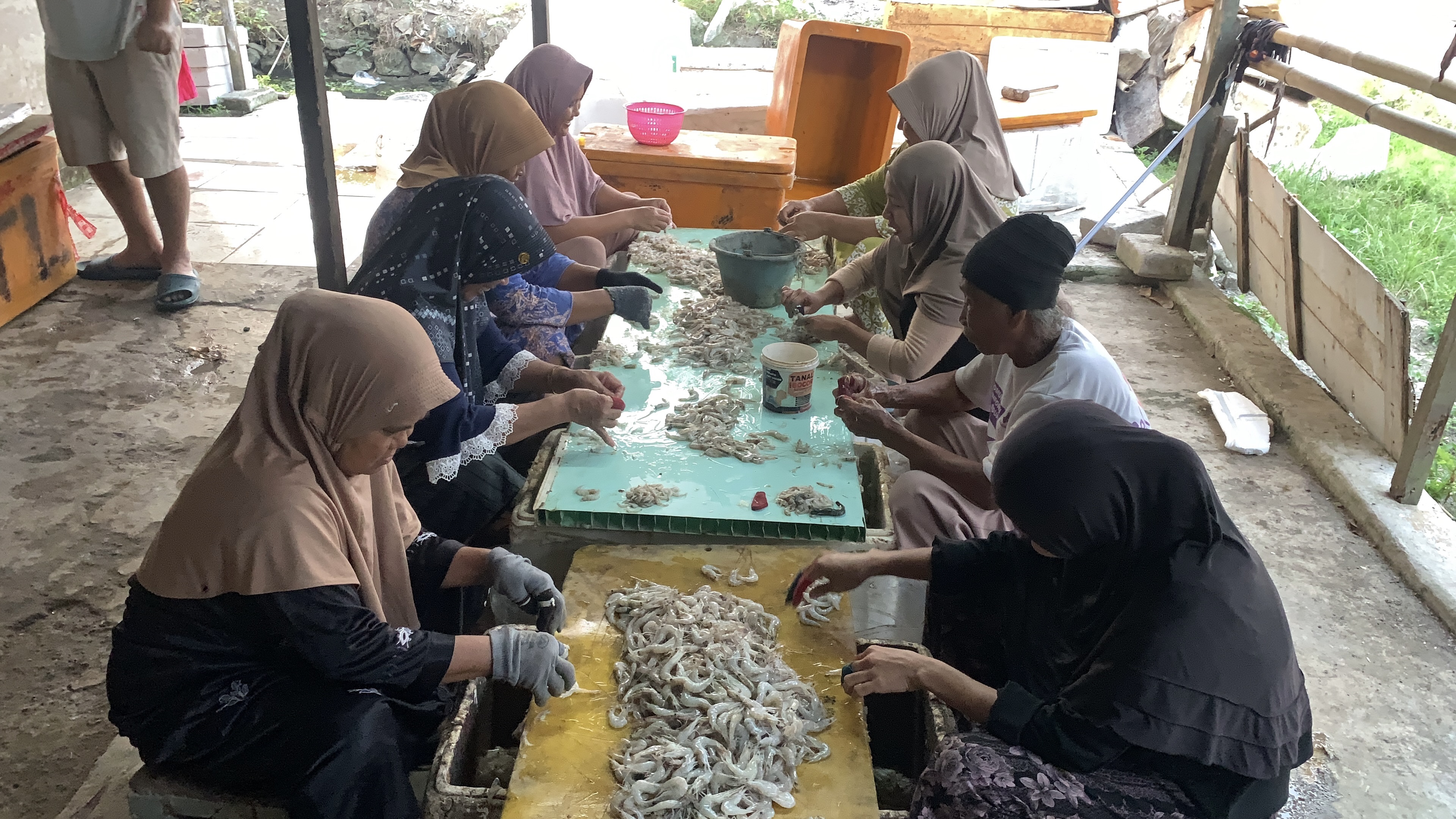 Proses Pengolahan Udang Tambak